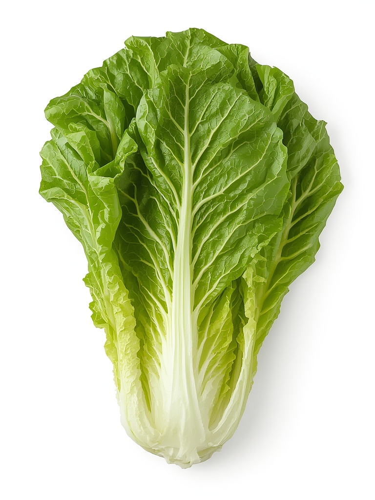 Lettuce