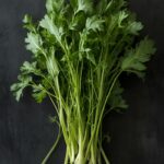 Arugula